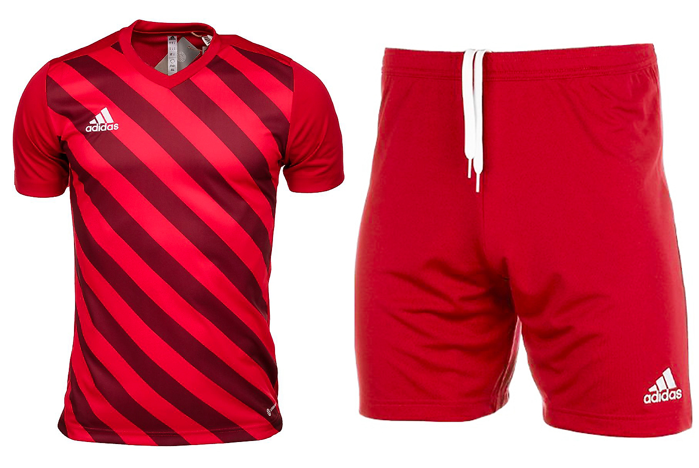 adidas Set de sport pentru copii Tricou Pantaloni scurți Entrada 22 Graphic Jersey H58983/H57501