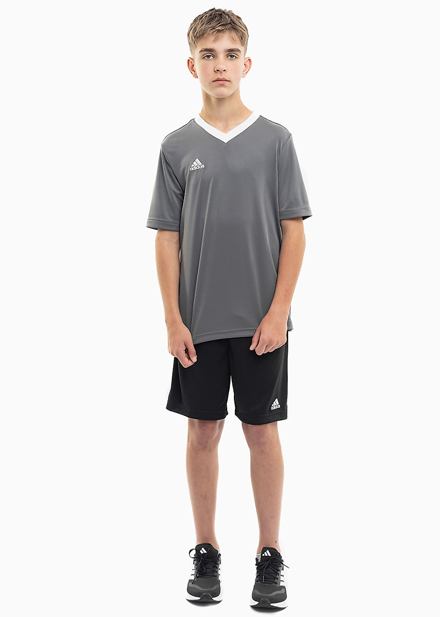 adidas Set de sport pentru copii Tricou Pantaloni scurți Entrada 22 Jersey H57499/H57502