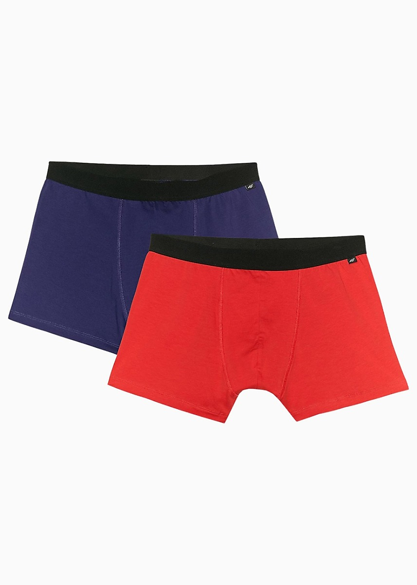 4F Boxeri pentru bărbați M059 2-pack 4FWMM00UBXSM059 91S