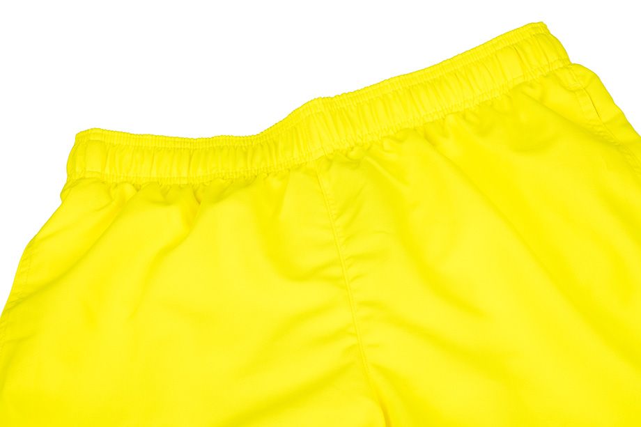 Nike Pantaloni scurți Volley NESSA560 731