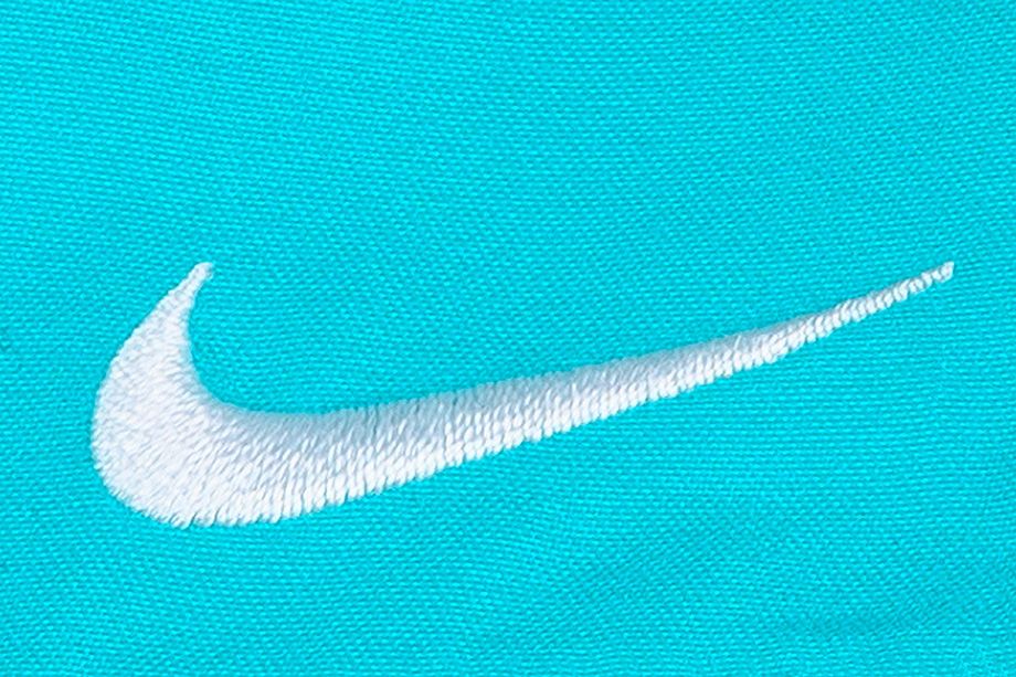 Nike Pantaloni scurți Volley NESSA560 376