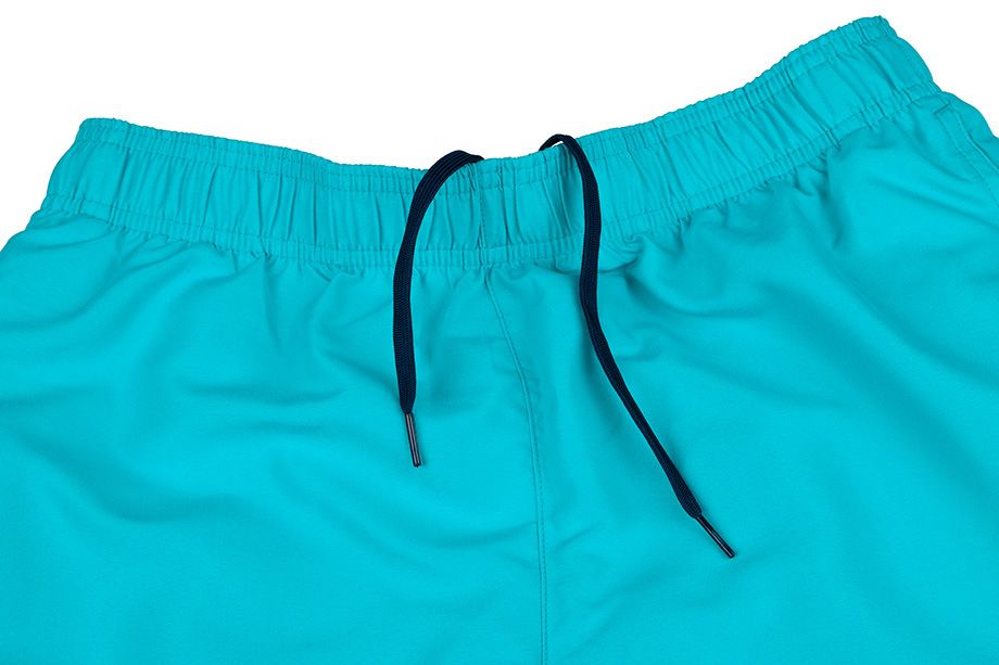 Nike Pantaloni scurți Volley NESSA560 376
