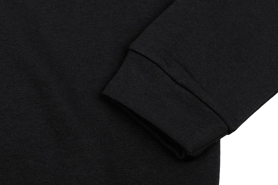 Reebok bărbați bluză Linear Logo Fleece Crew FU3116