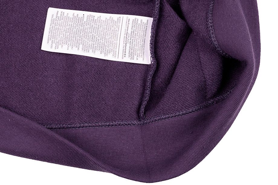Nike Hanorac pentru femei W Essential Hoodie PO HBR BV4126 574