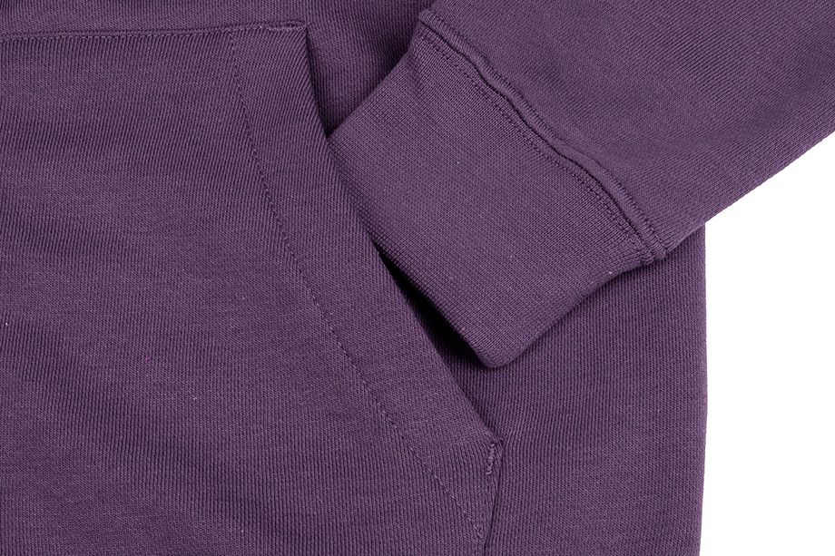 Nike femei bluză Essentials Hoodie FZ FLC BV4122 574