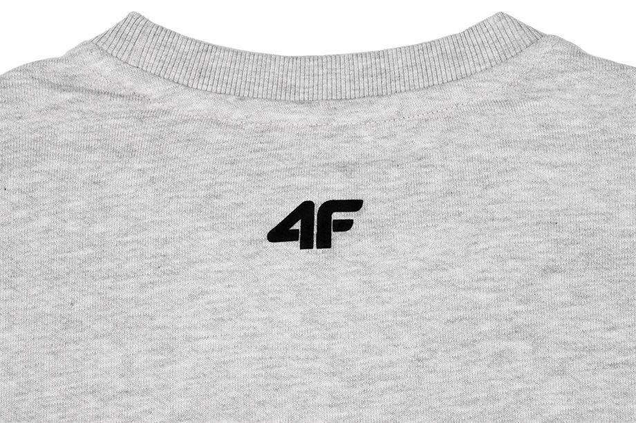 4F Bluză Bărbați Crew Neck NOSH4 BLM001 27M