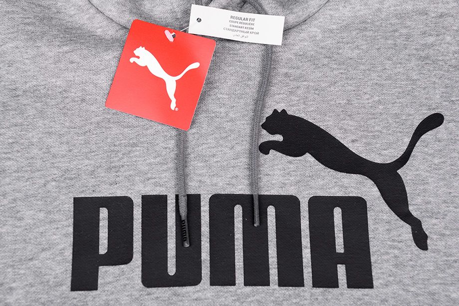 PUMA Bluză Femei Essentials Hoody Fleece Big Logo 851743 03