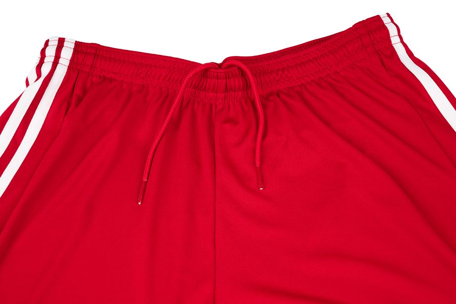 adidas Set de sport pentru copii Tricou Pantaloni scurți Squadra 21 Jersey GN5746/GN5761