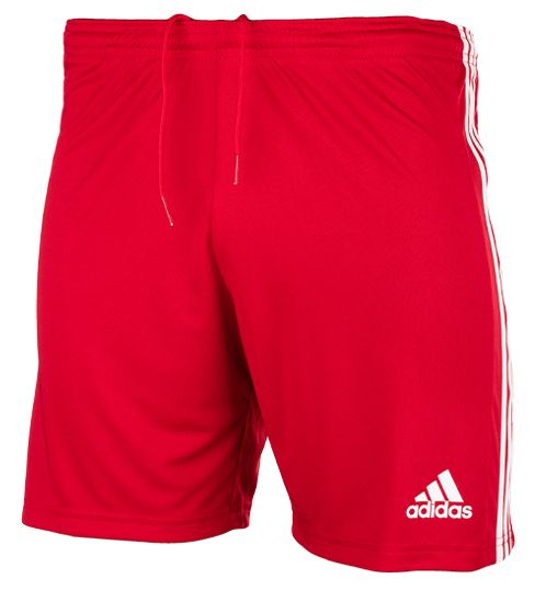 adidas Set de sport pentru copii Tricou Pantaloni scurți Squadra 21 Jersey GN5746/GN5761