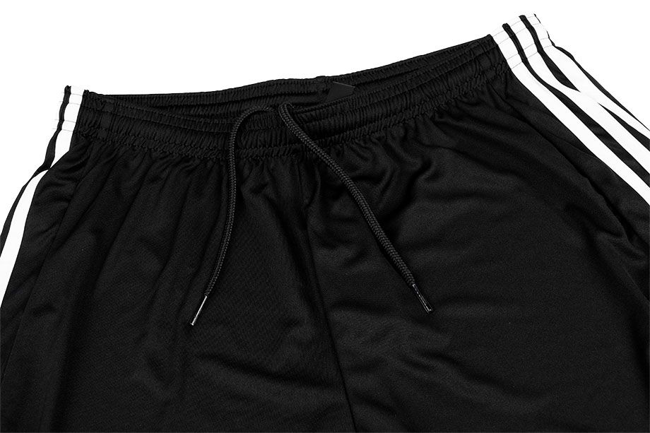 adidas Set de sport pentru copii Tricou Pantaloni scurți Squadra 21 Jersey GN8090/GN5767