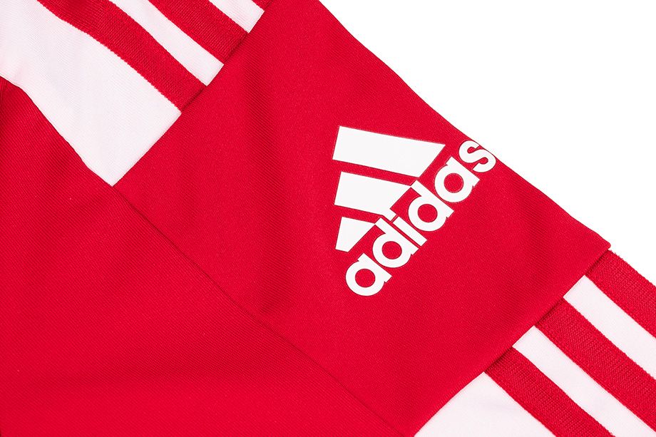 adidas Set de sport pentru copii Tricou Pantaloni scurți Squadra 21 Polo GP6423/GN5761