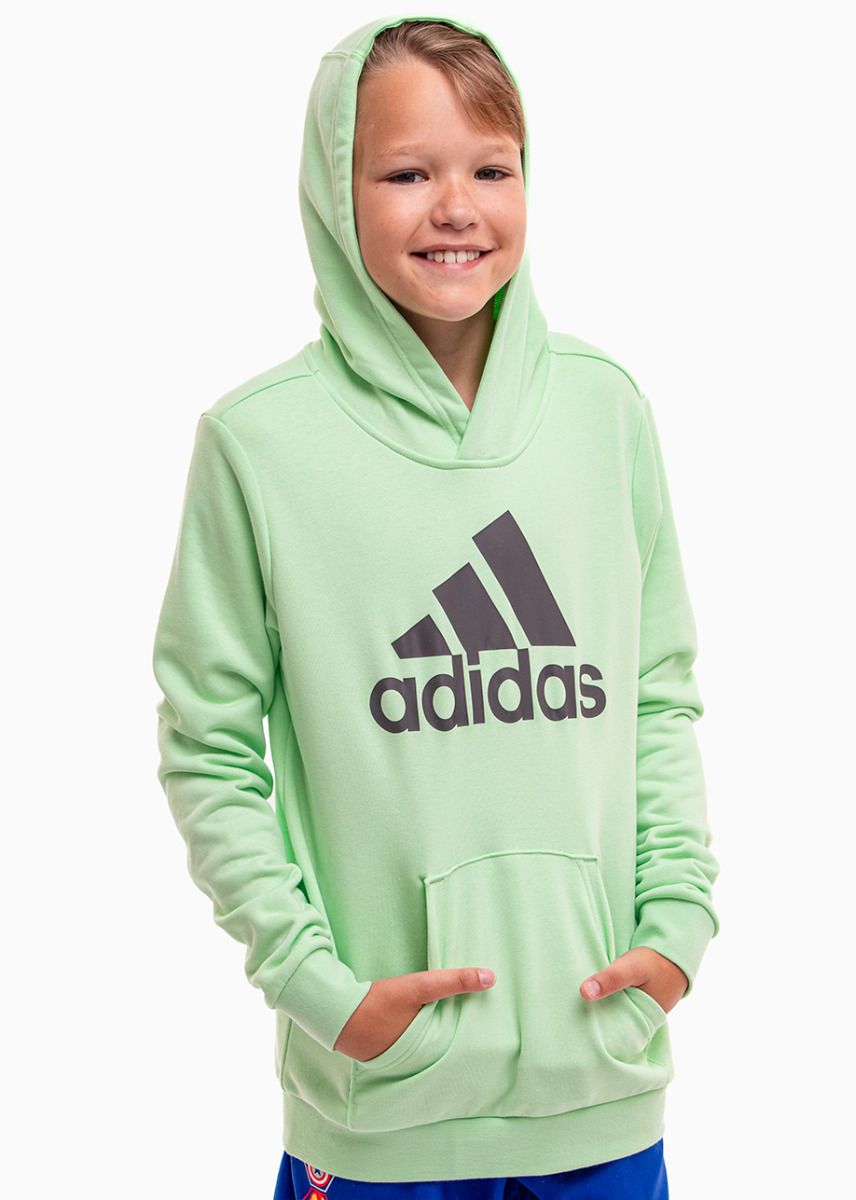 adidas Hanorac pentru copii Big Logo Essentials Cotton Hoodie IS2591