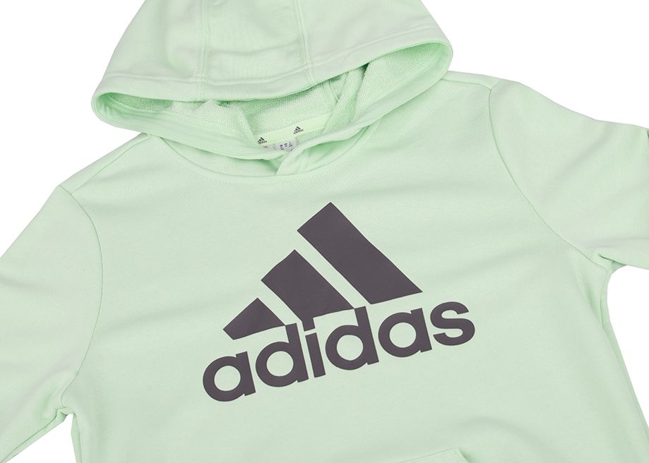 adidas Hanorac pentru copii Big Logo Essentials Cotton Hoodie IS2591