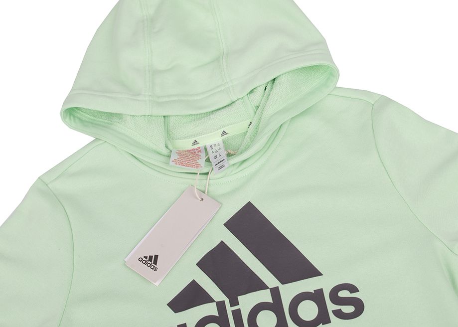 adidas Hanorac pentru copii Big Logo Essentials Cotton Hoodie IS2591