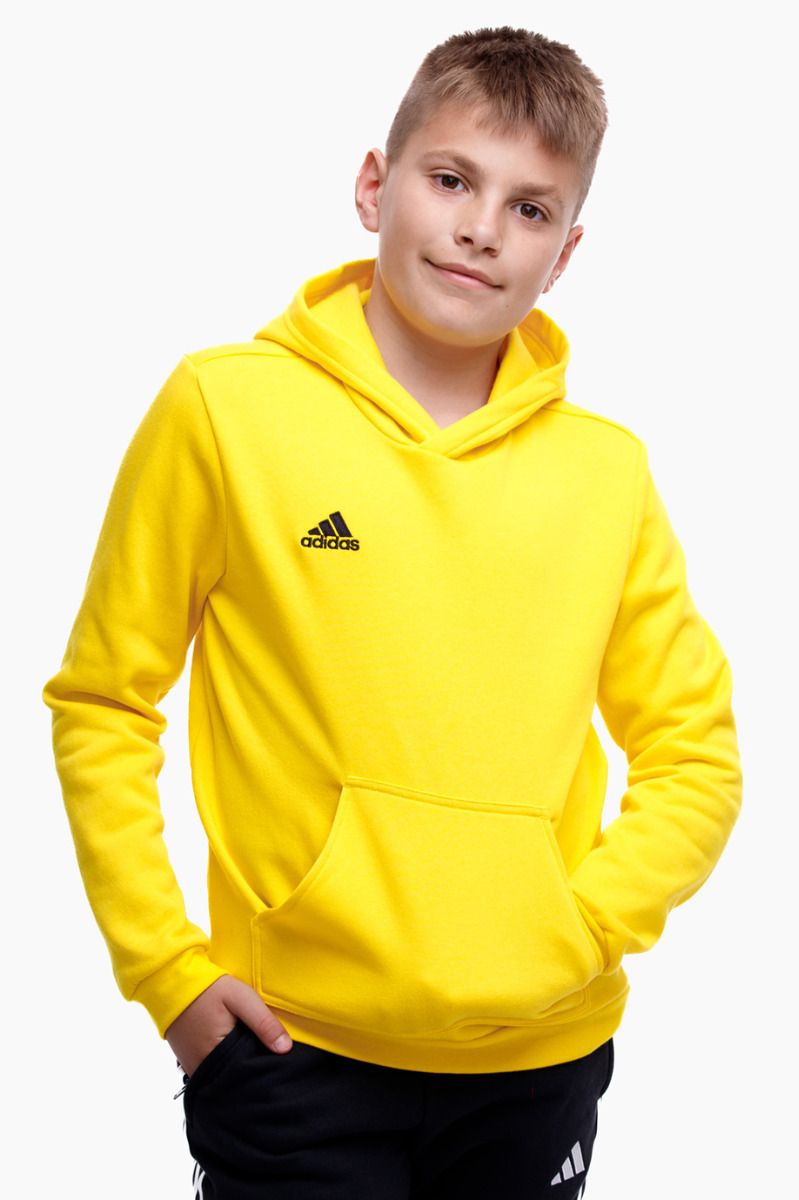 adidas Hanorac Pentru Copii Entrada 22 Hoody HI2142