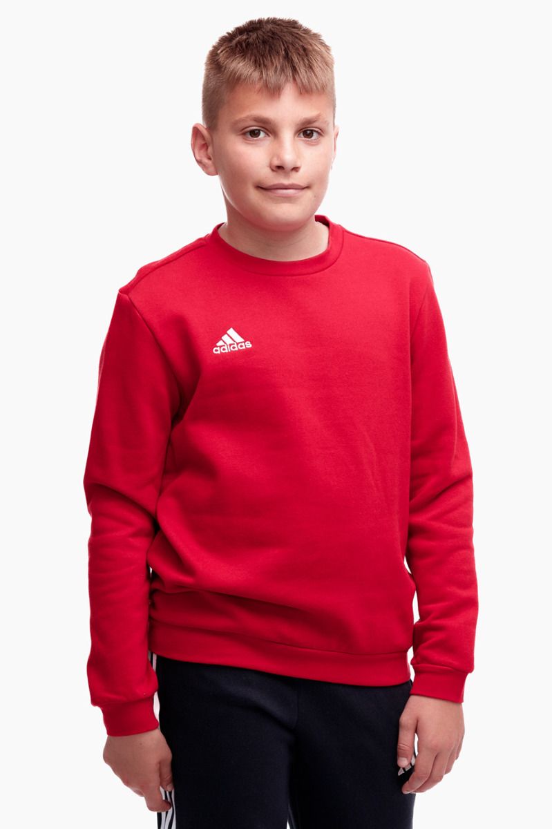 adidas Hanorac pentru copii Entrada 22 Sweat Top H57473