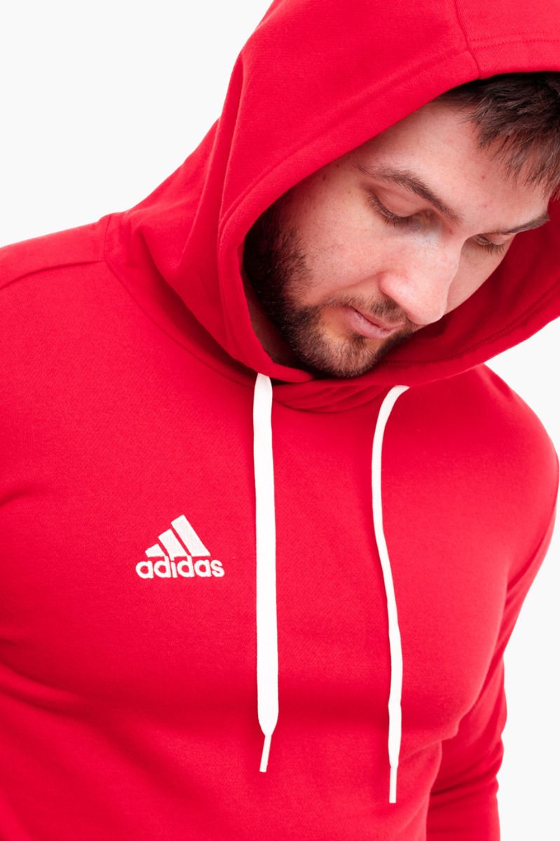 adidas Bluze Pentru Bărbați Entrada 22 Hoody H57514