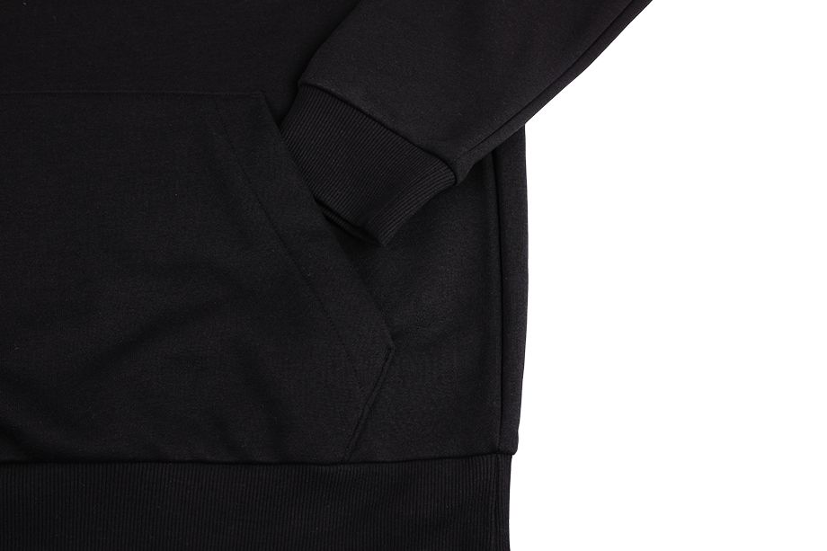 adidas Bluză bărbați Essentials Fleece Big Logo Hoodie GK9220