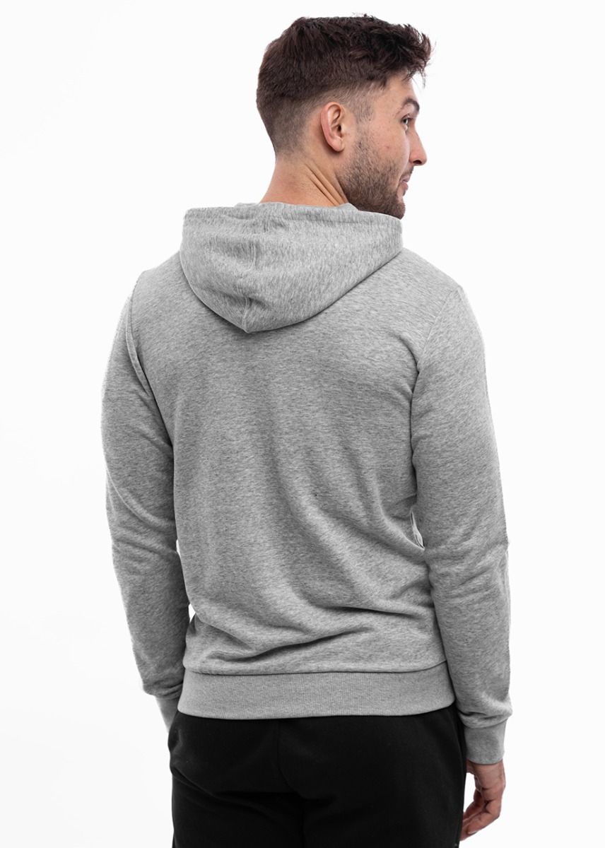 adidas Hanorac pentru bărbați Essentials Hoodie GK9541