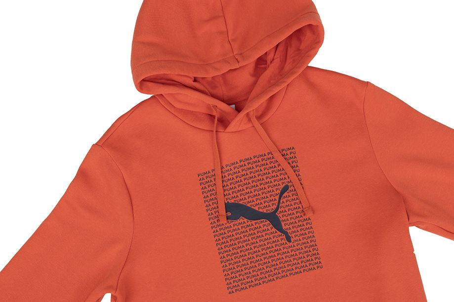PUMA Hanorac pentru bărbați Ess Logo Lab Hoodie FL 684669 15 PUMA Hanorac pentru bărbați Ess Logo Lab Hoodie FL 684669 15