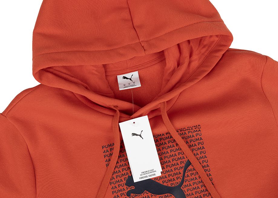 PUMA Hanorac pentru bărbați Ess Logo Lab Hoodie FL 684669 15 PUMA Hanorac pentru bărbați Ess Logo Lab Hoodie FL 684669 15