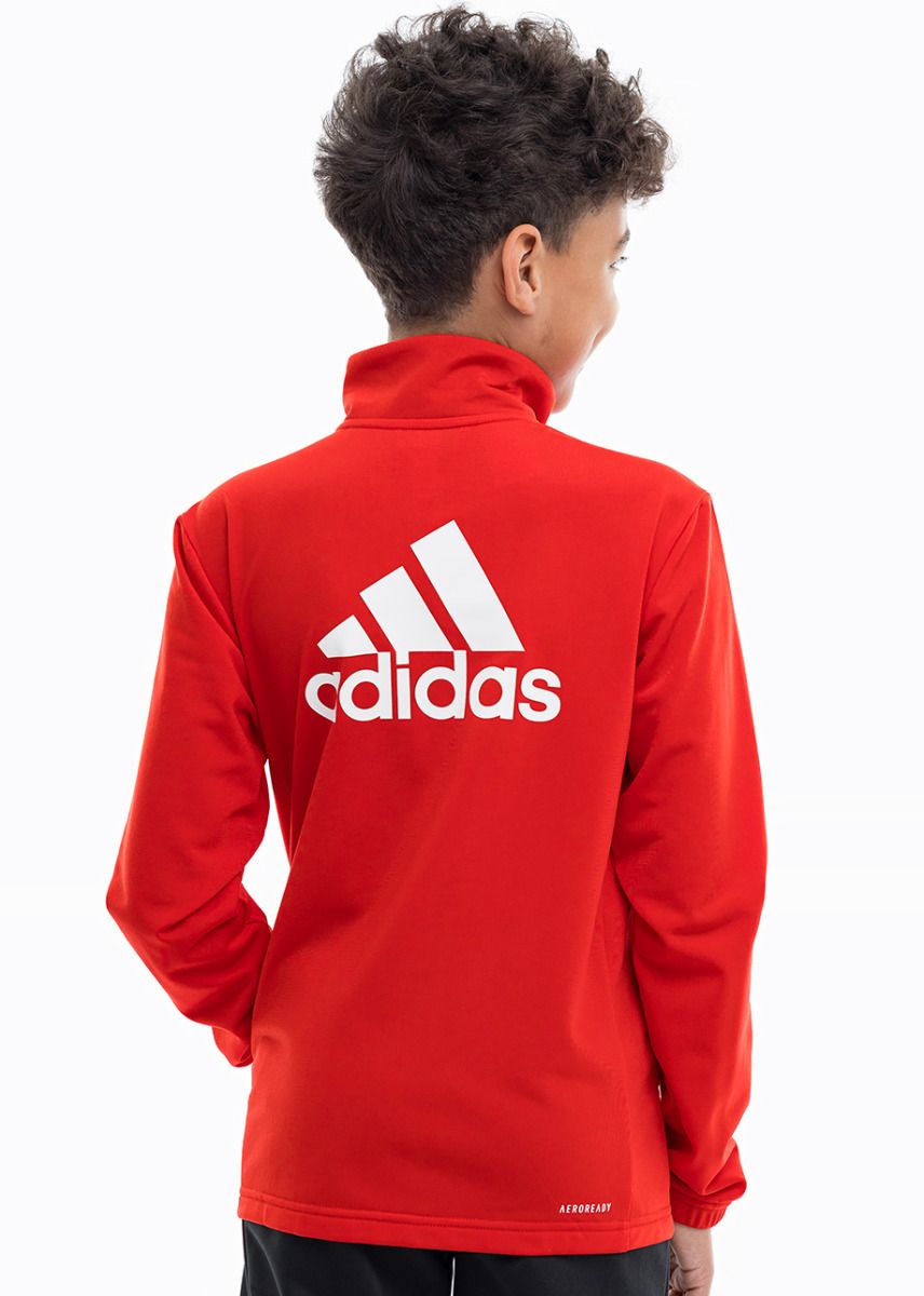 adidas Trening pentru copii Essentials Big Logo Track Suit IJ6305