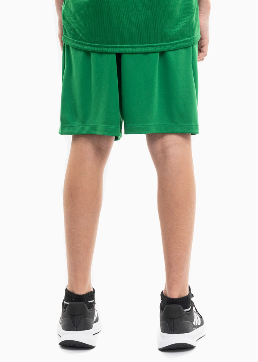 Nike Set de sport pentru copii Tricou Pantaloni scurți Dry Park VII JSY SS BV6741 302/BV6865 302