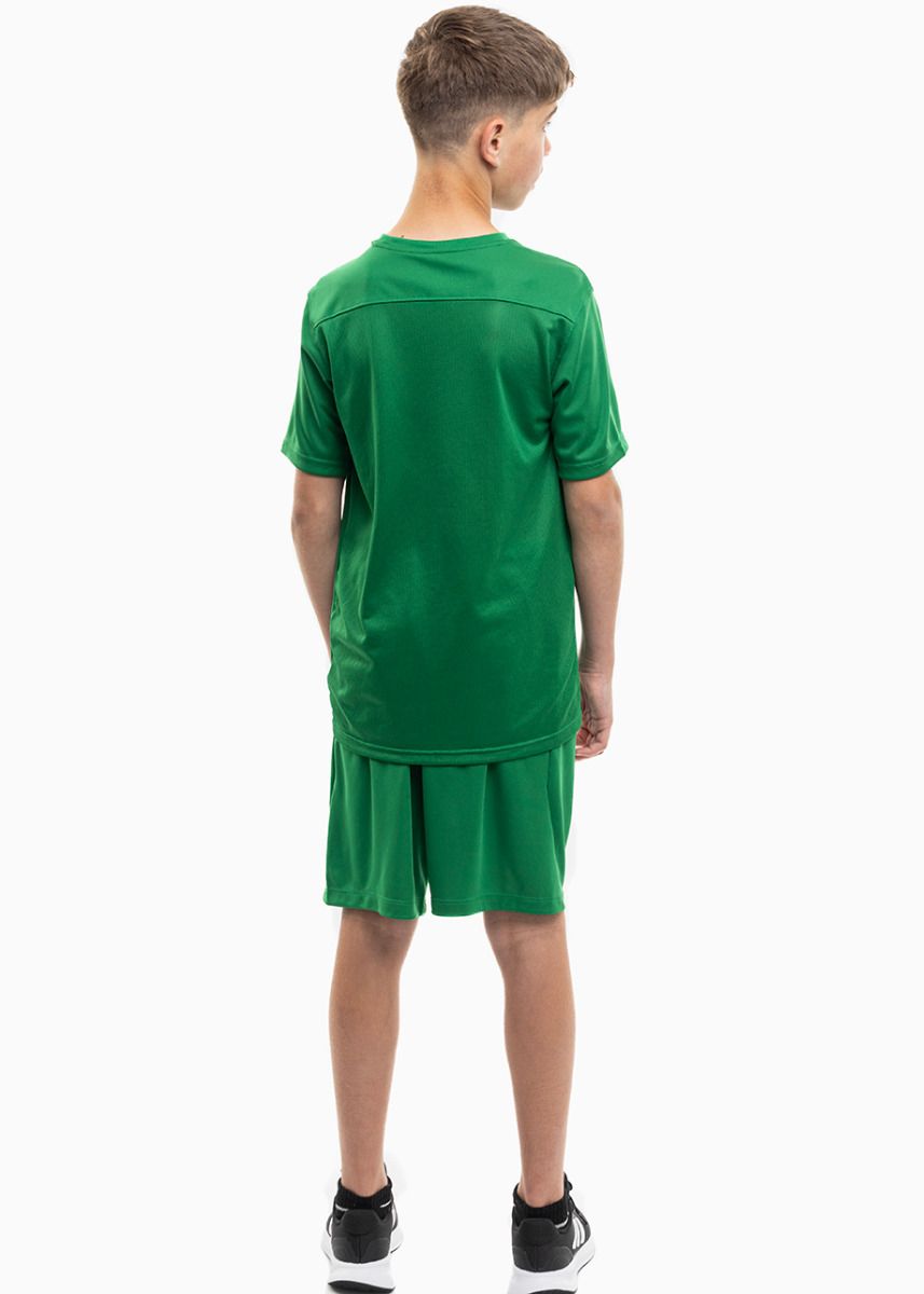Nike Set de sport pentru copii Tricou Pantaloni scurți Dry Park VII JSY SS BV6741 302/BV6865 302