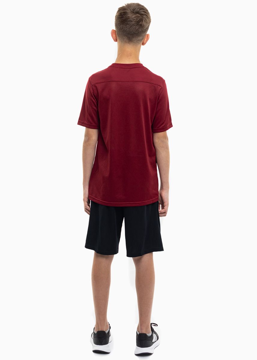 Nike Set de sport pentru copii Tricou Pantaloni scurți Dry Park VII JSY SS BV6741 677/BV6865 010 Nike Set de sport pentru copii Tricou Pantaloni scurți Dry Park VII JSY SS BV6741 677/BV6865 010
