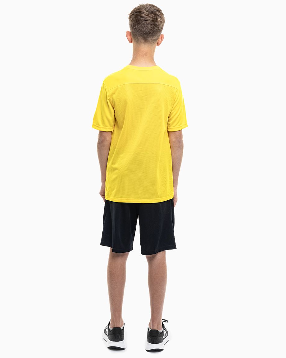 Nike Set de sport pentru copii Tricou Pantaloni scurți Dry Park VII JSY SS BV6741 719/BV6865 010