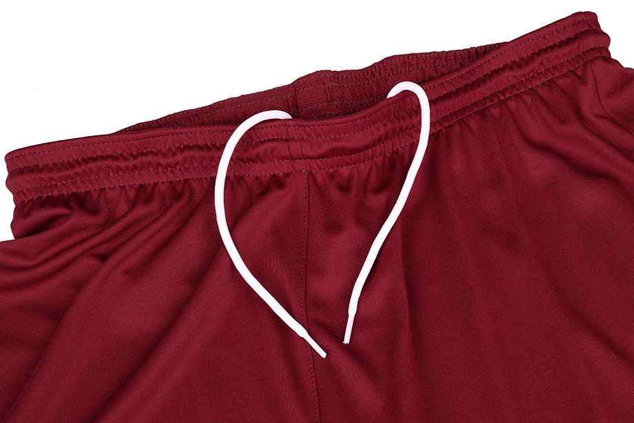 Nike set de sport pentru bărbați Tricou Pantaloni scurți Dry Park VII JSY SS BV6708 677/BV6855 677