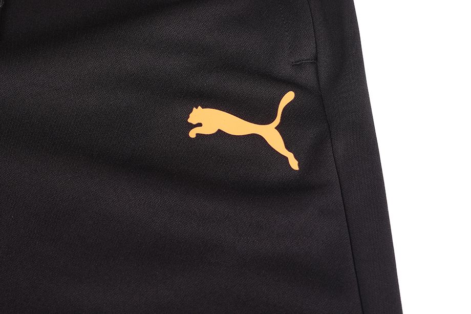 PUMA Trening pentru bărbați 1/4 Zip Training 657950 45/657242 45 PUMA Trening pentru bărbați 1/4 Zip Training 657950 45/657242 45