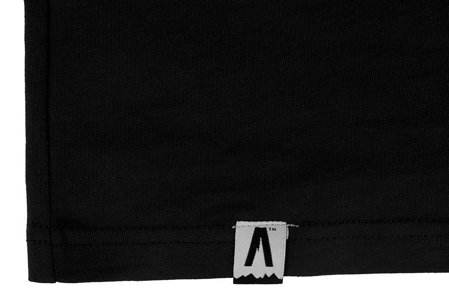 Alpinus tricou bărbătesc Breheimen SI18001