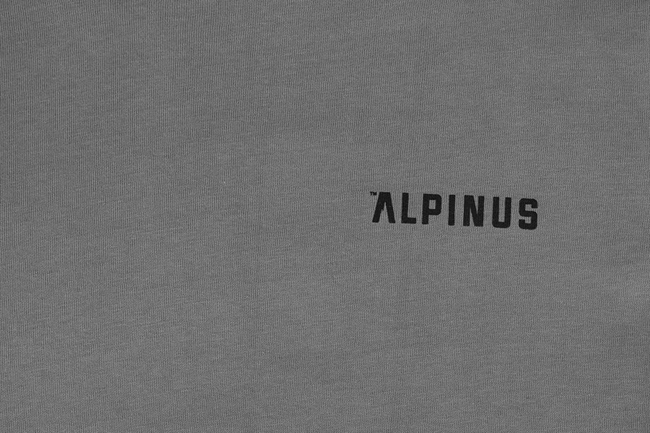 Alpinus tricou bărbătesc Breheimen SI18006