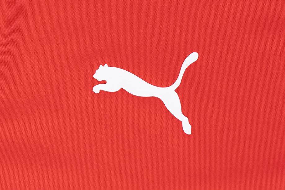 PUMA Tricou pentru bărbați teamLIGA Jersey 704917 01