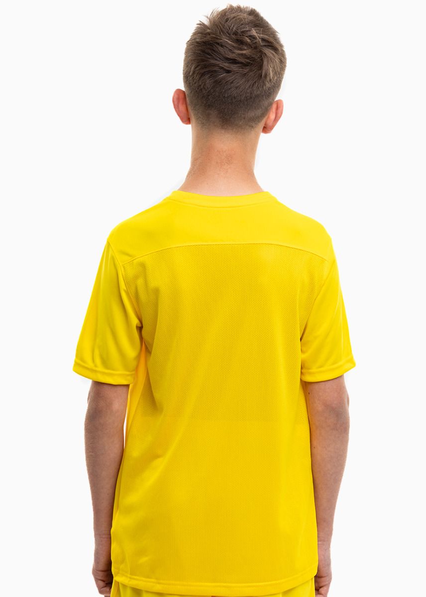 Nike Set de sport pentru copii Tricou Pantaloni scurți Dry Park VII JSY SS BV6741 719/BV6865 719