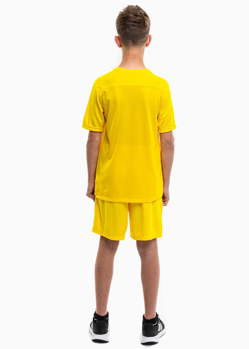 Nike Set de sport pentru copii Tricou Pantaloni scurți Dry Park VII JSY SS BV6741 719/BV6865 719