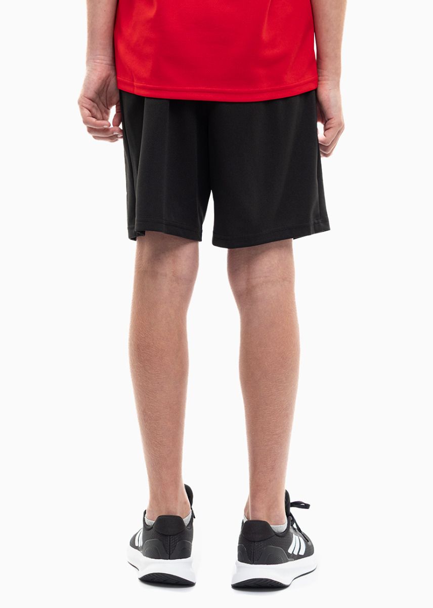 PUMA Set de sport pentru copii Tricou Pantaloni scurți teamRISE Jersey Jr 704938 01/704943 04 PUMA Set de sport pentru copii Tricou Pantaloni scurți teamRISE Jersey Jr 704938 01/704943 04