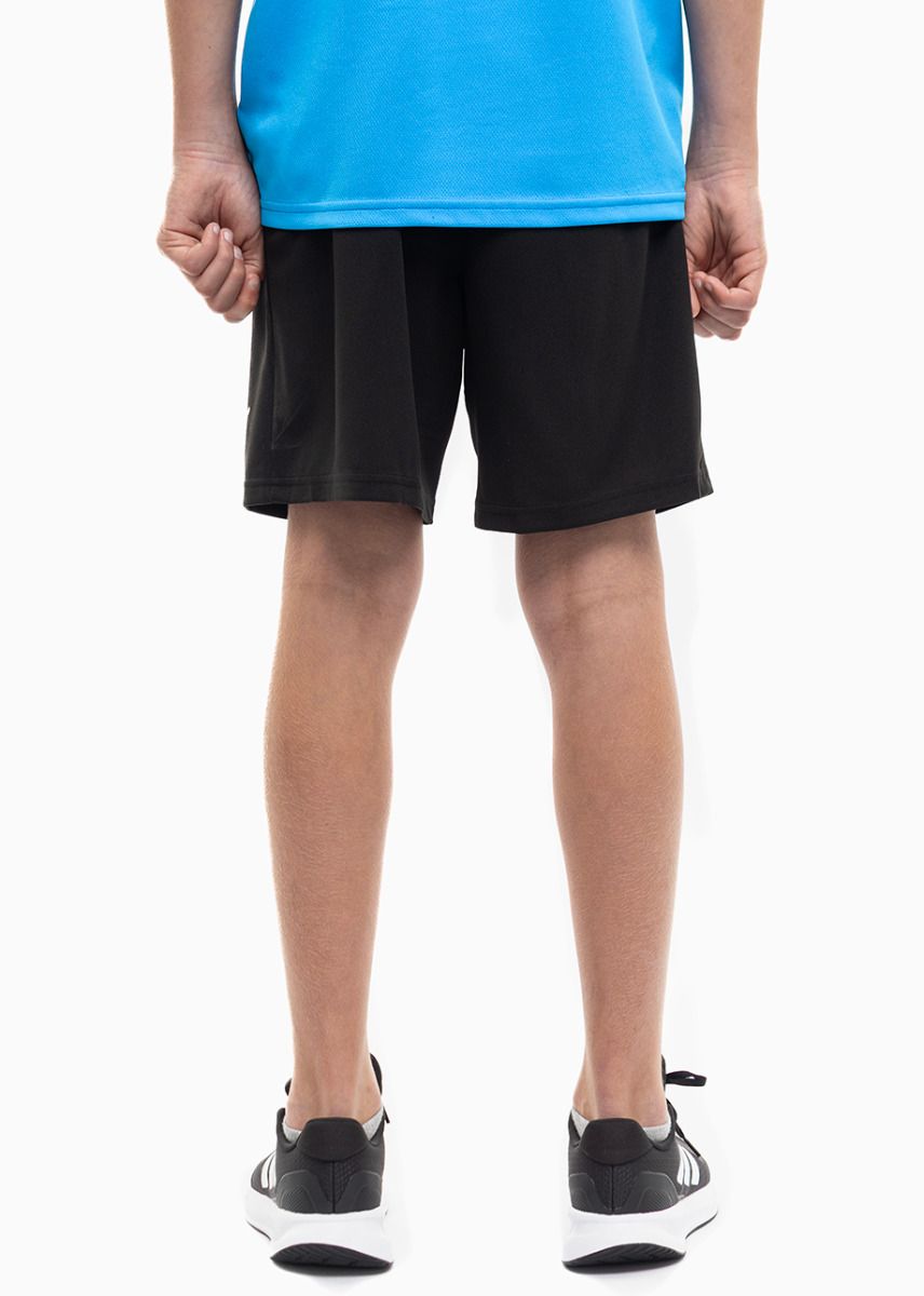 PUMA Set de sport pentru copii Tricou Pantaloni scurți teamRISE Jersey Jr 704938 02/704943 04 PUMA Set de sport pentru copii Tricou Pantaloni scurți teamRISE Jersey Jr 704938 02/704943 04
