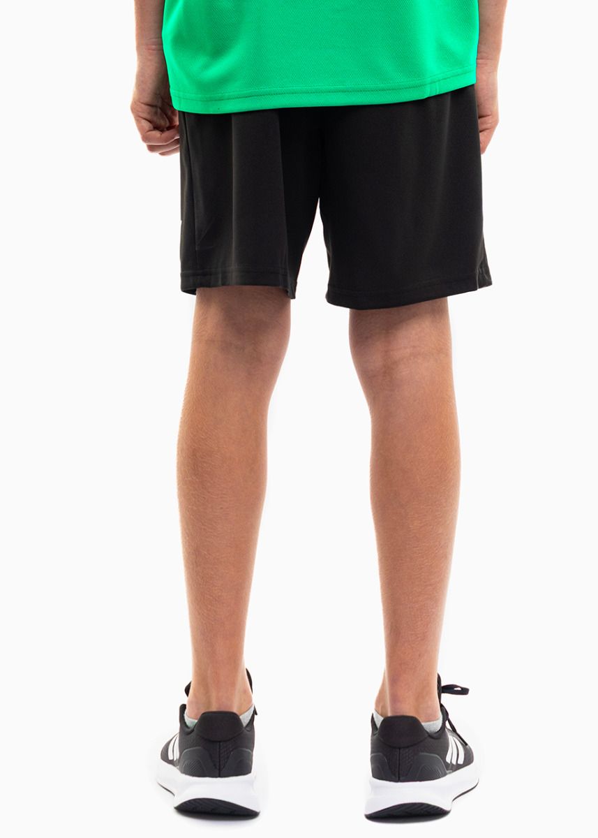 PUMA Set de sport pentru copii Tricou Pantaloni scurți teamRISE Jersey Jr 704938 05/704943 04 PUMA Set de sport pentru copii Tricou Pantaloni scurți teamRISE Jersey Jr 704938 05/704943 04