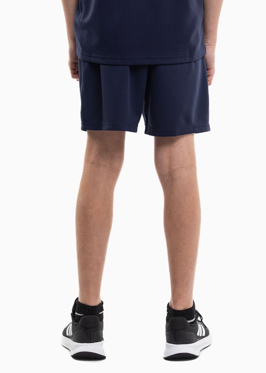 PUMA Set de sport pentru copii Tricou Pantaloni scurți teamRISE Jersey Jr 704938 06/704943 06 PUMA Set de sport pentru copii Tricou Pantaloni scurți teamRISE Jersey Jr 704938 06/704943 06