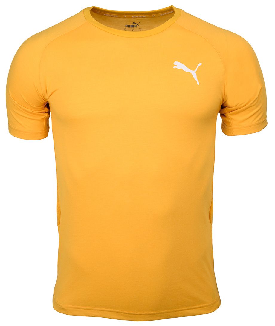 Puma Tricou pentru bărbați Evostripe Lite Tee 581534 25