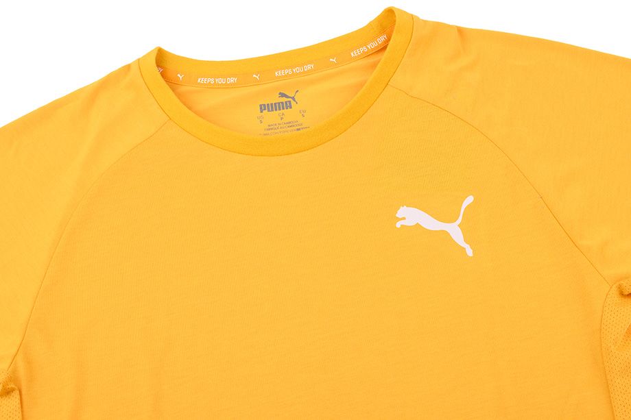 Puma Tricou pentru bărbați Evostripe Lite Tee 581534 25