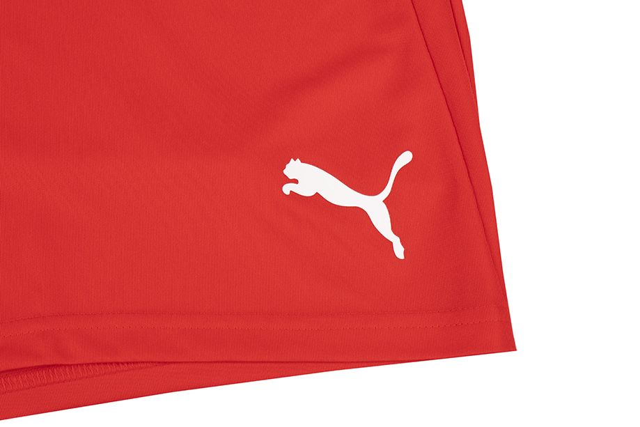 PUMA Set de sport pentru bărbați Tricou Pantaloni scurți teamLIGA Jersey 704917 01/704924 01