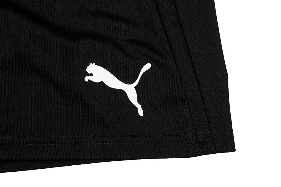 PUMA Set de sport pentru bărbați Tricou Pantaloni scurți teamLIGA Jersey 704917 01/704924 03