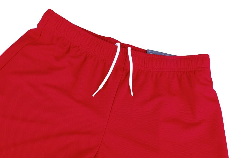 PUMA Set de sport pentru bărbați Tricou Pantaloni scurți teamRISE Jersey 704932 01/704942 01
