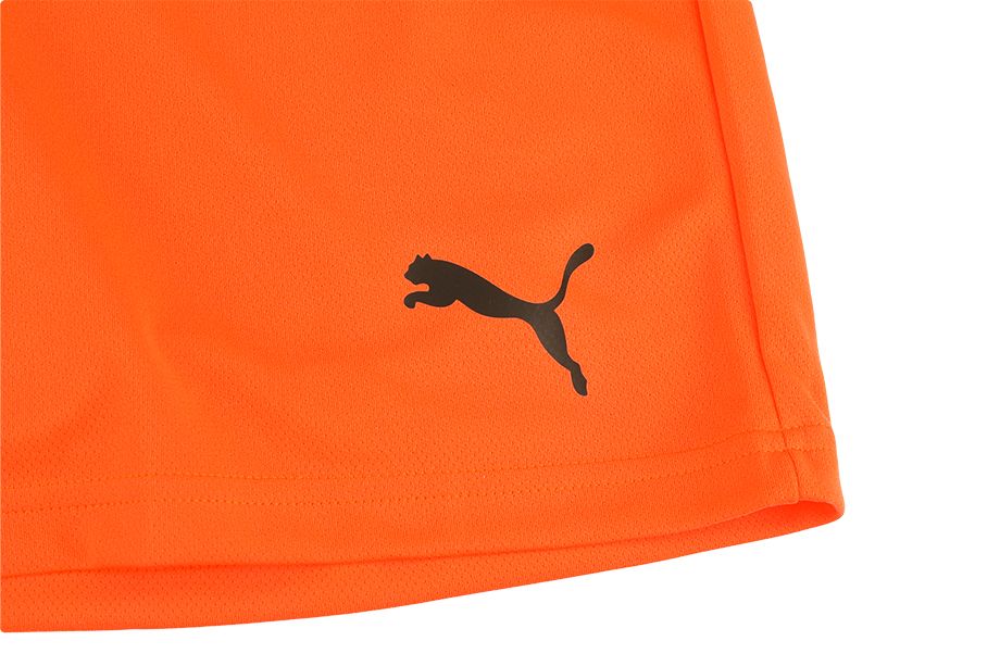 PUMA Set de sport pentru bărbați Tricou Pantaloni scurți teamRISE Jersey 704932 08/704942 08