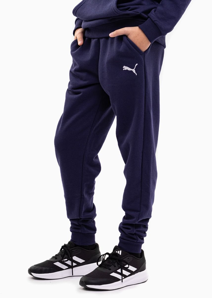 Puma Pantaloni pentru copii teamGOAL 23 Casuals Pants 656713 06