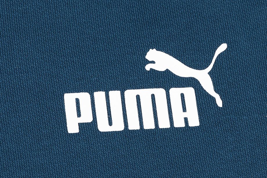 Puma Pantaloni de barbati ESS Logo Pants FL cl 853410 38