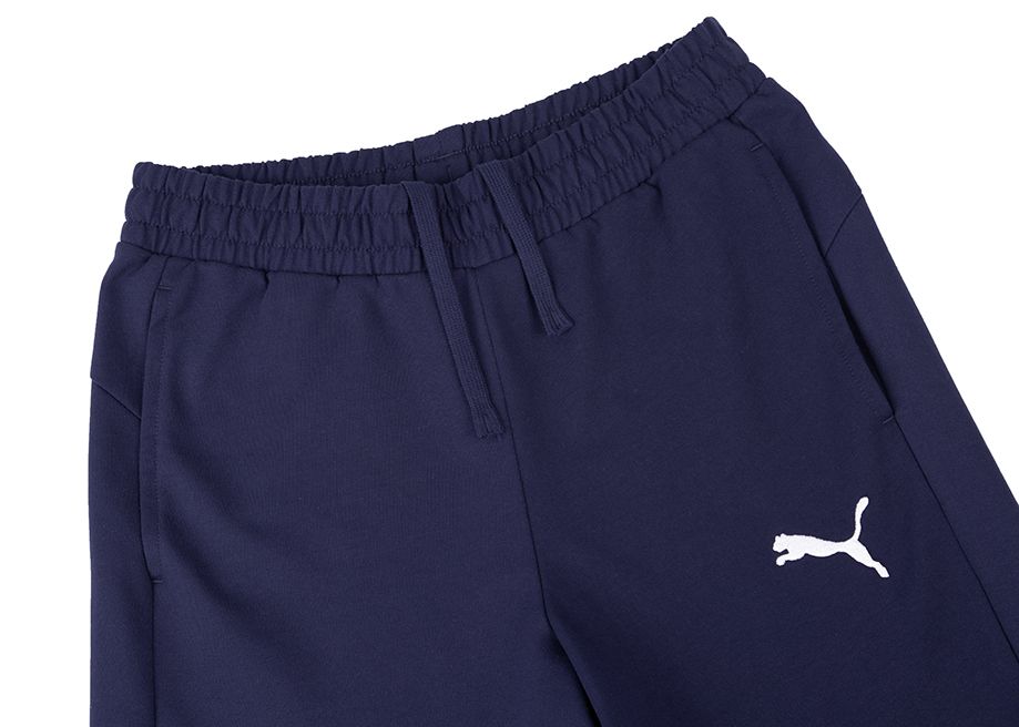 PUMA Pantaloni scurți pentru bărbați teamGOAL Casuals 658608 06